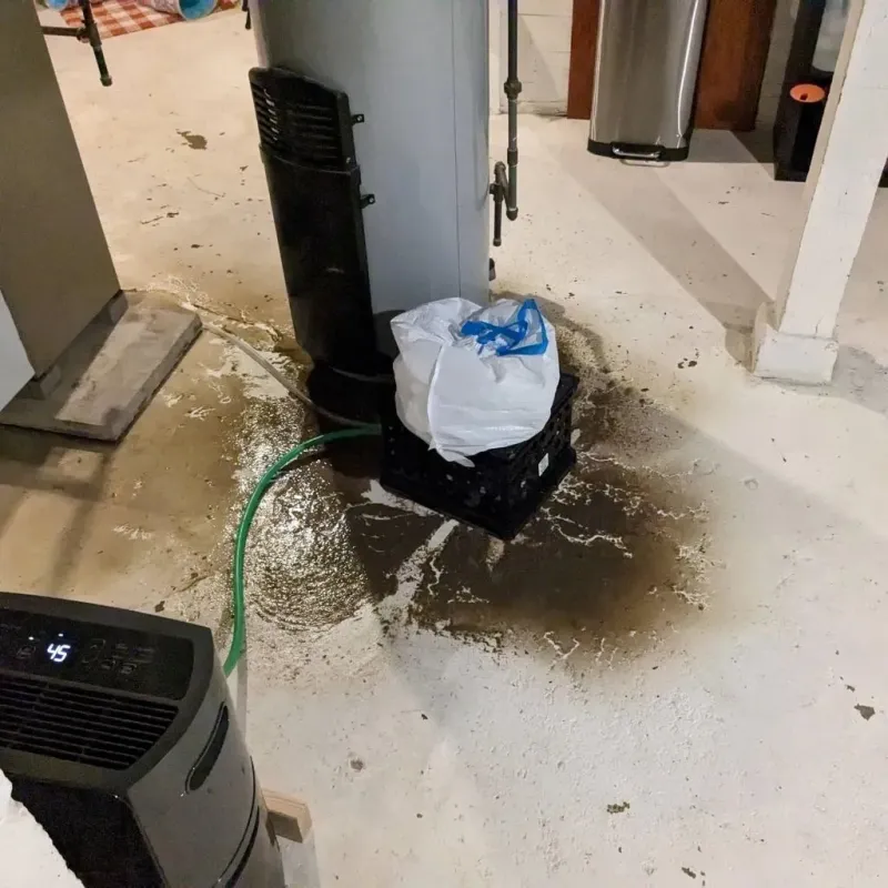 Sewage Backup Cleanup Service in Helena, AL